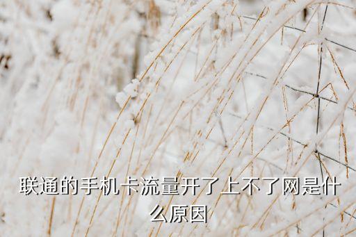  聯(lián)通的手機(jī)卡流量開了上不了網(wǎng)是什么原因