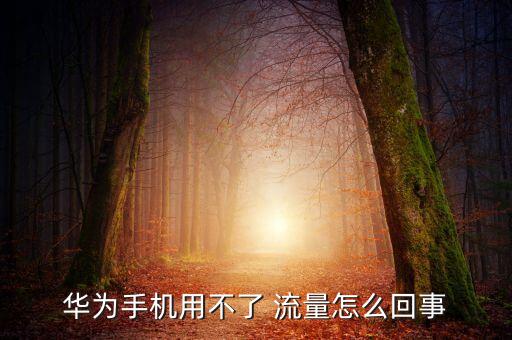 華為手機用不了 流量怎么回事