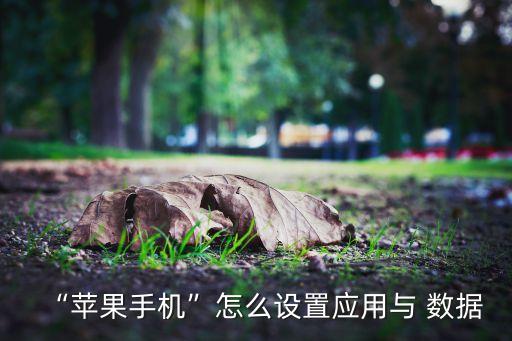 “蘋果手機(jī)”怎么設(shè)置應(yīng)用與 數(shù)據(jù)