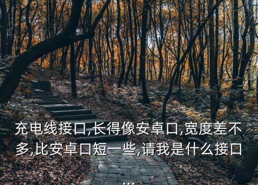 數(shù)據(jù)線插口很長(zhǎng),蘋(píng)果數(shù)據(jù)線為什么改插口