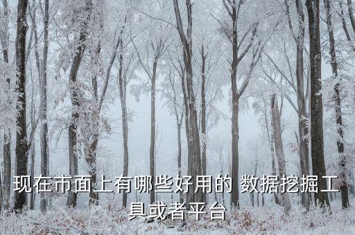 現(xiàn)在市面上有哪些好用的 數(shù)據(jù)挖掘工具或者平臺