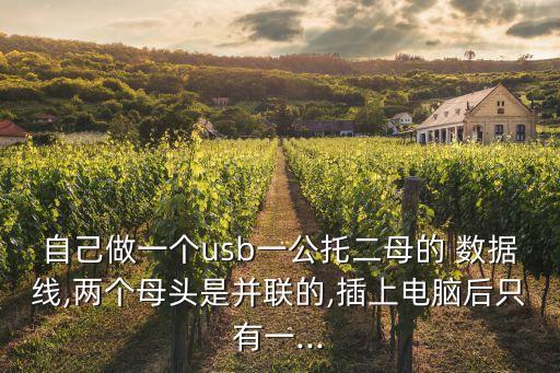 自己做一個(gè)usb一公托二母的 數(shù)據(jù)線,兩個(gè)母頭是并聯(lián)的,插上電腦后只有一...