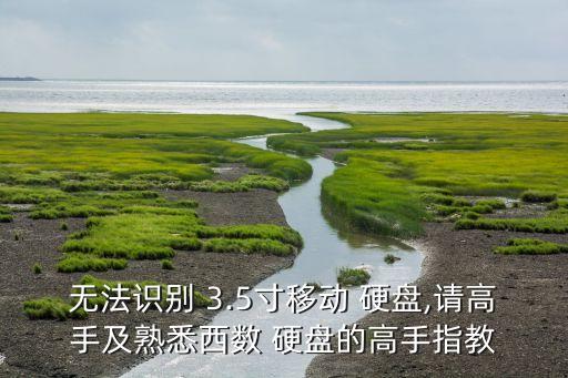 無法識別 3.5寸移動 硬盤,請高手及熟悉西數(shù) 硬盤的高手指教