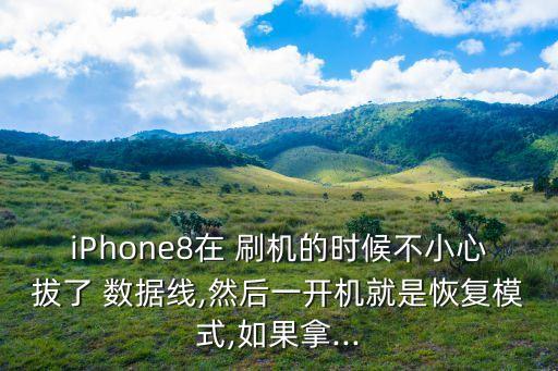 iPhone8在 刷機(jī)的時候不小心拔了 數(shù)據(jù)線,然后一開機(jī)就是恢復(fù)模式,如果拿...