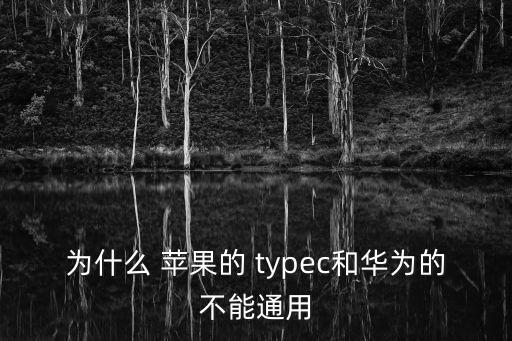 為什么 蘋果的 typec和華為的不能通用