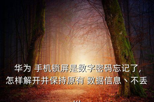  華為 手機鎖屏是數(shù)字密碼忘記了,怎樣解開并保持原有 數(shù)據(jù)信息丶不丟...