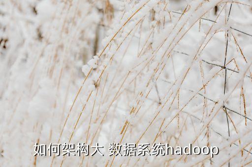 如何架構(gòu)大 數(shù)據(jù)系統(tǒng)hadoop