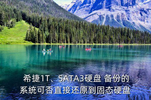  希捷1T、SATA3硬盤 備份的系統(tǒng)可否直接還原到固態(tài)硬盤
