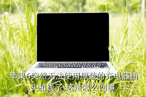  蘋果6突然無法使用原裝的充電器插頭和線了,這是怎么回事