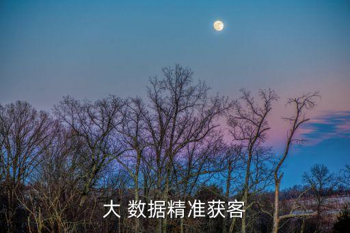 大 數(shù)據(jù)精準(zhǔn)獲客