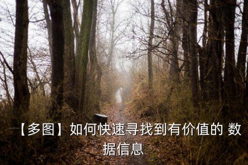 alexa的數(shù)據(jù),Alexa可以查詢哪些方面的數(shù)據(jù)?
