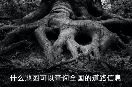 什么地圖可以查詢?nèi)珖?guó)的道路信息