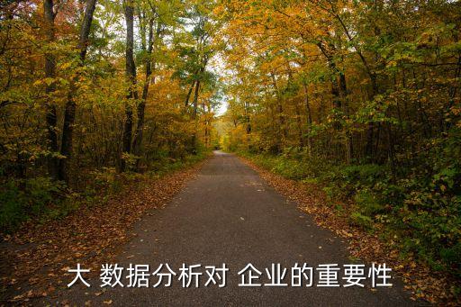 大 數(shù)據(jù)分析對(duì) 企業(yè)的重要性