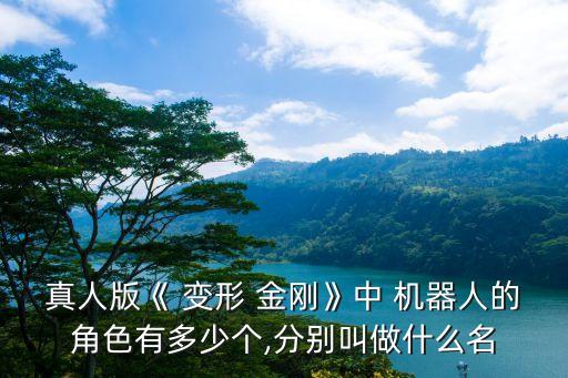真人版《 變形 金剛》中 機器人的角色有多少個,分別叫做什么名