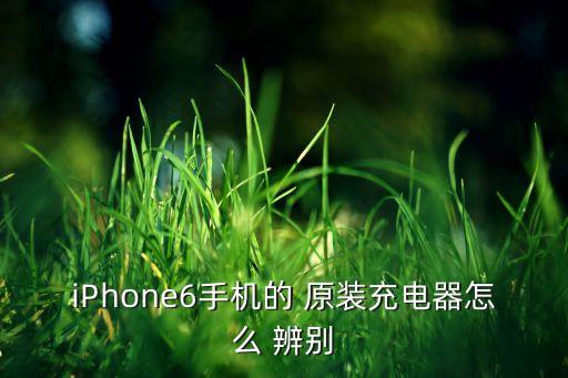 蘋果數(shù)據(jù)頭原裝辨別,蘋果電池修改數(shù)據(jù)咋能辨別