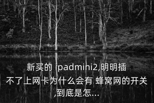 新ipad有蜂窩數(shù)據(jù),ipad蜂窩數(shù)據(jù)版是可以插手機(jī)卡嗎