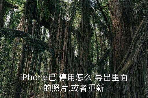 iPhone已 停用怎么 導(dǎo)出里面的照片,或者重新