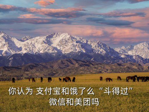 支付寶與微信線下線上占比數(shù)據(jù)