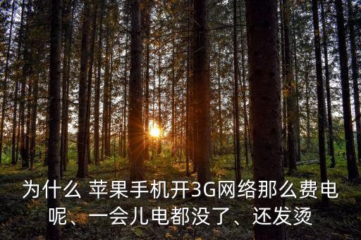 為什么 蘋果手機(jī)開3G網(wǎng)絡(luò)那么費(fèi)電呢、一會(huì)兒電都沒了、還發(fā)燙