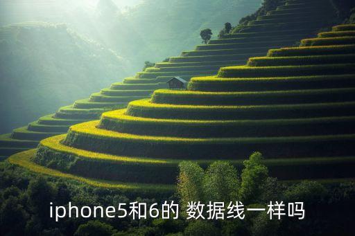 iphone5和6的 數(shù)據(jù)線一樣嗎