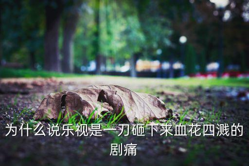 為什么說樂視是一刀砸下來血花四濺的劇痛