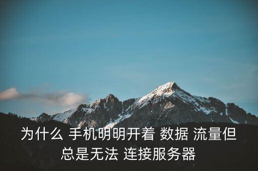 為什么 手機明明開著 數(shù)據(jù) 流量但總是無法 連接服務(wù)器
