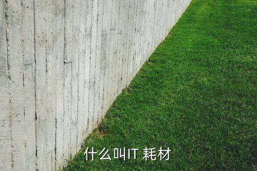 什么叫IT 耗材