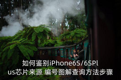 如何鑒別iPhone6S/6SPlus芯片來(lái)源 編號(hào)圖解查詢方法步驟