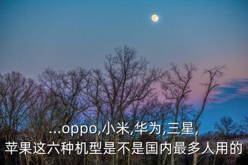 ...oppo,小米,華為,三星,蘋果這六種機(jī)型是不是國內(nèi)最多人用的