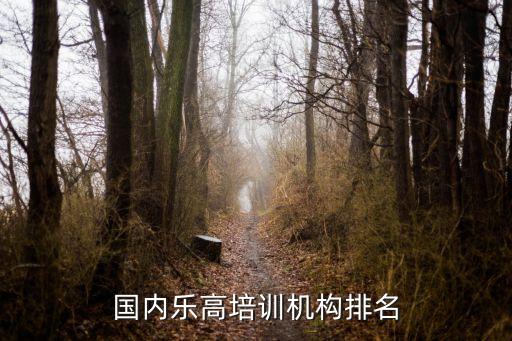 國內(nèi)樂高培訓機構排名