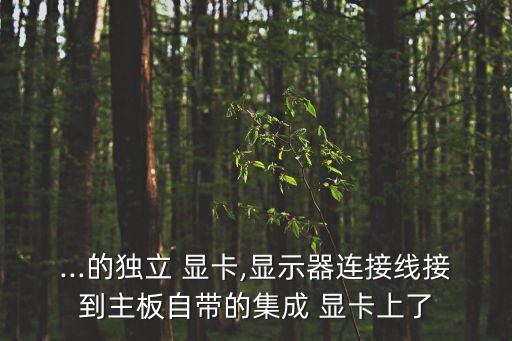 ...的獨立 顯卡,顯示器連接線接到主板自帶的集成 顯卡上了