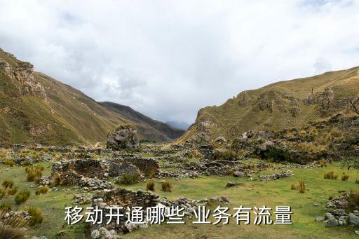 移動(dòng)開通哪些 業(yè)務(wù)有流量