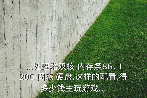 ...處理器雙核,內(nèi)存條8G, 120G 固態(tài) 硬盤,這樣的配置,得多少錢主玩游戲...