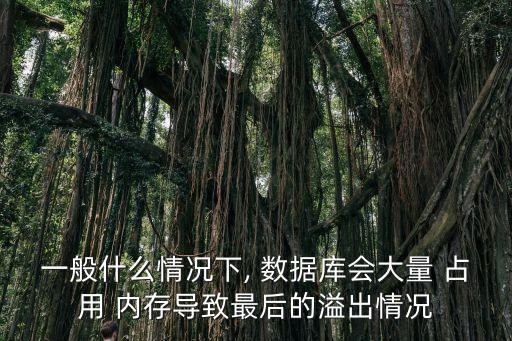 一般什么情況下, 數(shù)據(jù)庫會大量 占用 內(nèi)存導(dǎo)致最后的溢出情況