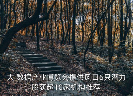 大 數(shù)據(jù)產(chǎn)業(yè)博覽會提供風(fēng)口6只潛力股獲超10家機構(gòu)推薦