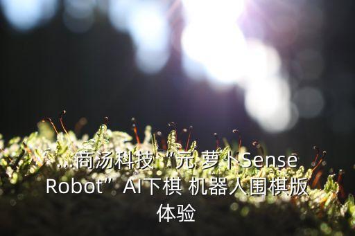 ...商湯科技“元 蘿卜SenseRobot”AI下棋 機(jī)器人圍棋版體驗(yàn)