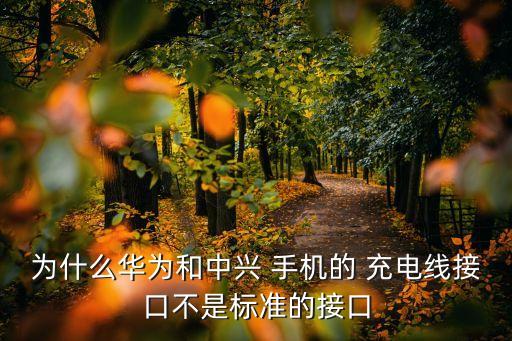 為什么華為和中興 手機的 充電線接口不是標準的接口