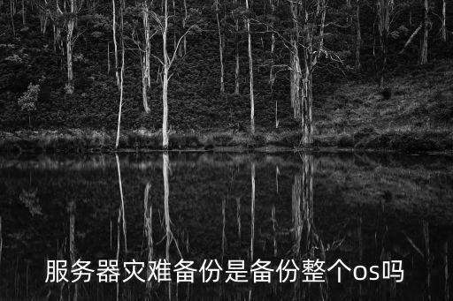 服務(wù)器災(zāi)難備份是備份整個(gè)os嗎