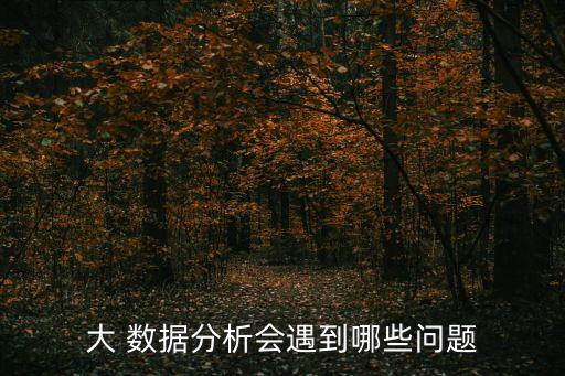 大數(shù)據(jù)有問題嗎,關(guān)于大數(shù)據(jù)的問題
