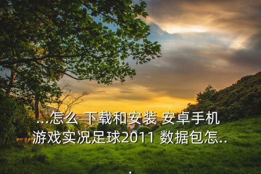 ...怎么 下載和安裝 安卓手機(jī) 游戲?qū)崨r足球2011 數(shù)據(jù)包怎...