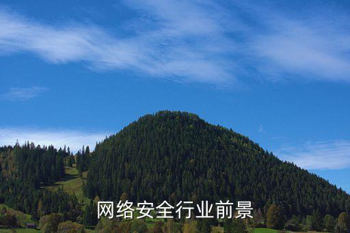 2013互聯(lián)網(wǎng)用戶數(shù)據(jù),中國移動(dòng)互聯(lián)網(wǎng)用戶數(shù)據(jù)
