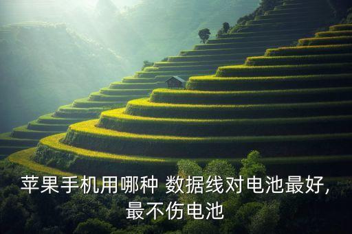 蘋(píng)果手機(jī)用哪種 數(shù)據(jù)線對(duì)電池最好,最不傷電池