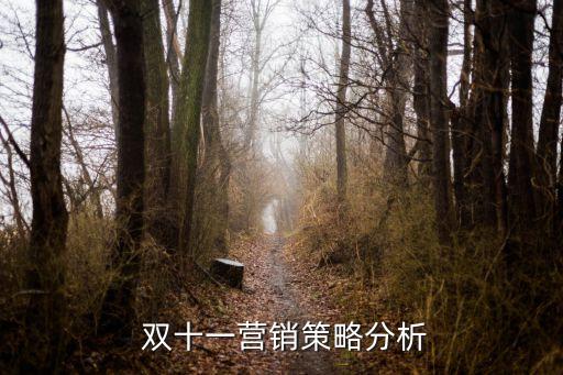 2017雙十一數(shù)據(jù)ppt
