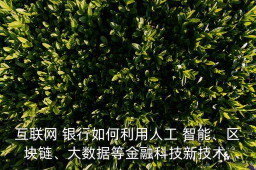 互聯(lián)網(wǎng) 銀行如何利用人工 智能、區(qū)塊鏈、大數(shù)據(jù)等金融科技新技術(shù),