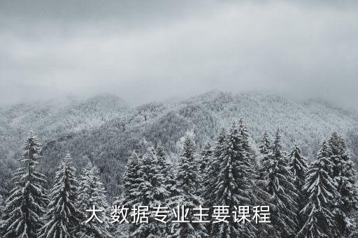 首席數(shù)據(jù)科學(xué)課