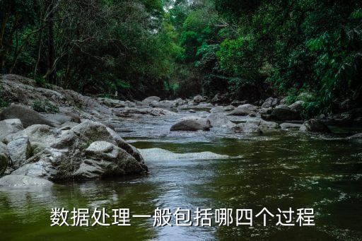  數(shù)據(jù)處理一般包括哪四個(gè)過程