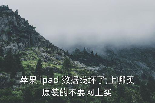 ipad所有數(shù)據(jù)線,Ipad顯示數(shù)據(jù)線連接電腦