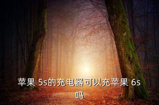 6s和5s數(shù)據(jù)線一樣嗎