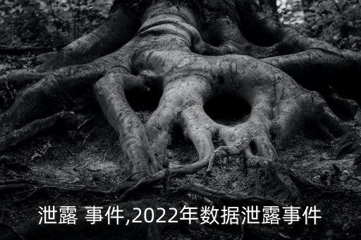 數(shù)據(jù)泄露 事件,2022年數(shù)據(jù)泄露事件