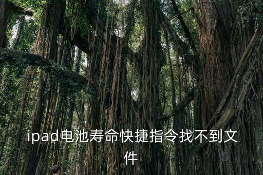  ipad電池壽命快捷指令找不到文件